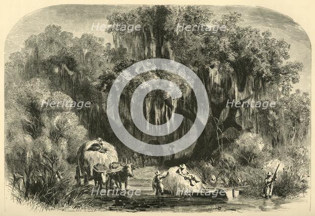 'The Moss-Gatherers', 1872.  Creator: Alfred Waud.