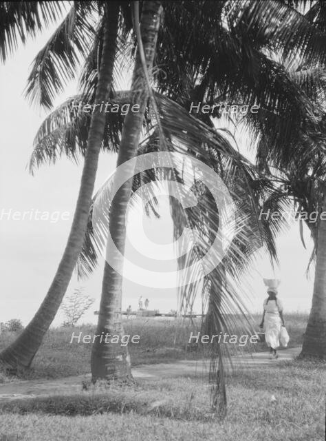 Travel views of Cuba and Guatemala, between 1899 and 1926. Creator: Arnold Genthe.