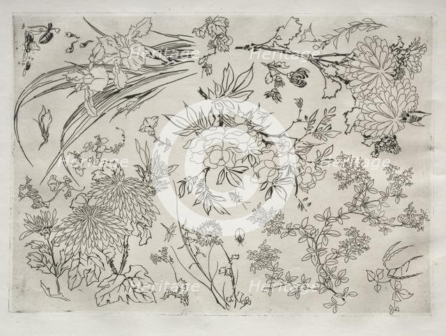 Dinner Service (Rousseau service): Flowers (no. 23), 1866. Creator: Félix Bracquemond (French, 1833-1914).