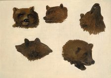 Portraits of Two Grizzly Bears, From Life, 1839-1840. Creator: George Catlin.