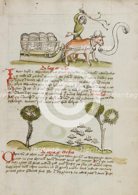 A Farmer Driving an Ox and Wagon: Swarms of Insects; Fables, third quarter of 15th century. Creator: Unknown.