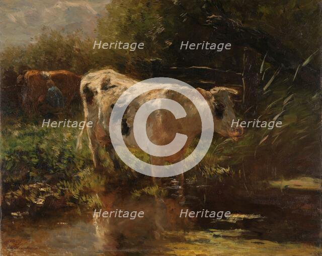 Cow beside a Ditch, c.1885-c.1895. Creator: Willem Maris.
