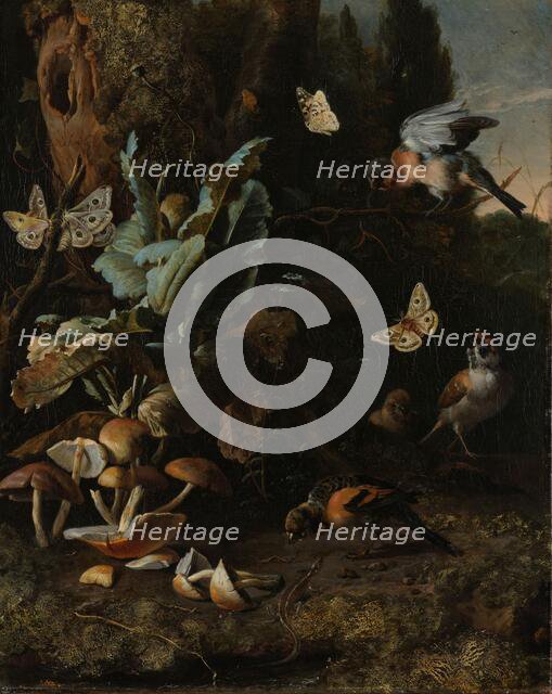 Animals and Plants, c.1668. Creator: Melchior d'Hondecoeter.