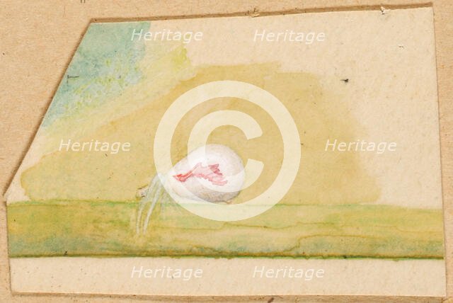 Porcelain-White Spider, late 19th-early 20th century. Creator: Emma Beach Thayer.