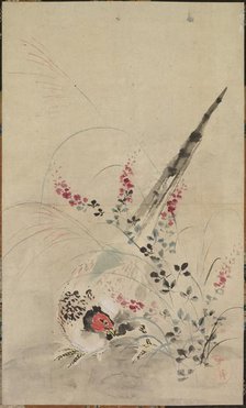 Pheasant and Grasses, late 17th-early 18th century. Creator: Ogata Korin (Japanese, 1658-1716), attributed to.