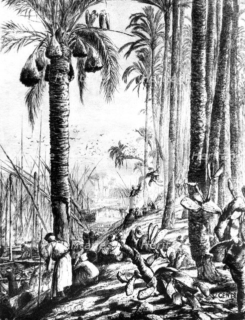 'Edges of the Channel, Mahmoudiyeh', 1880. Artist: Wilhelm Gentz