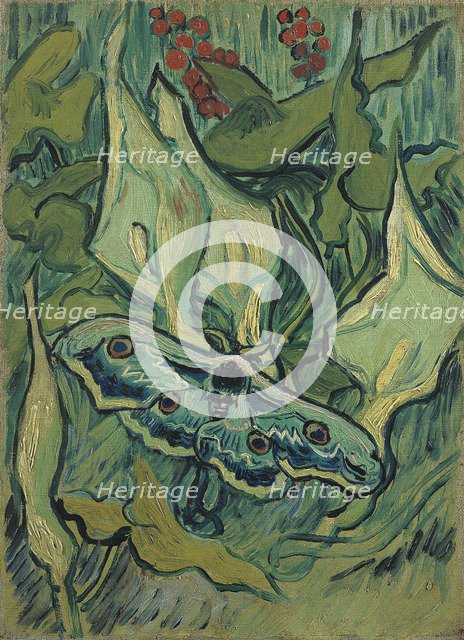 Green Peacock Moth (The Emperor Moth), 1889. Artist: Gogh, Vincent, van (1853-1890)