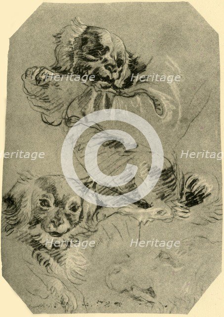 'Bologna Dogs', 1751-1752, (1928). Artist: Giovanni Battista Tiepolo.