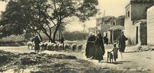 'Egypt - Village near Cairo', c1918-c1939. Creator: Unknown.