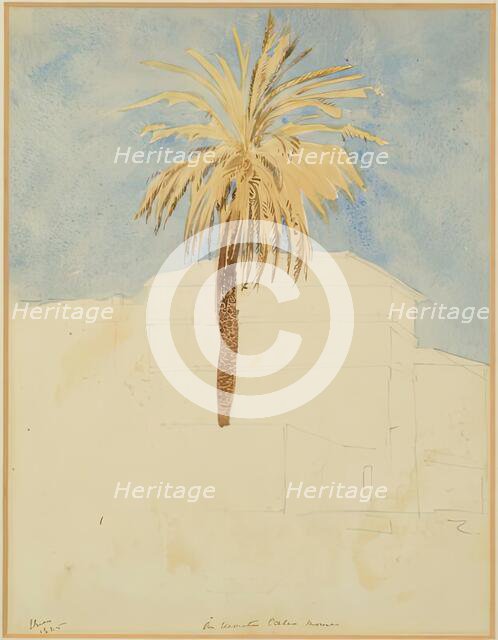 On Monte Calio, Rome - Palm Tree, 1825. Creator: James William Giles.