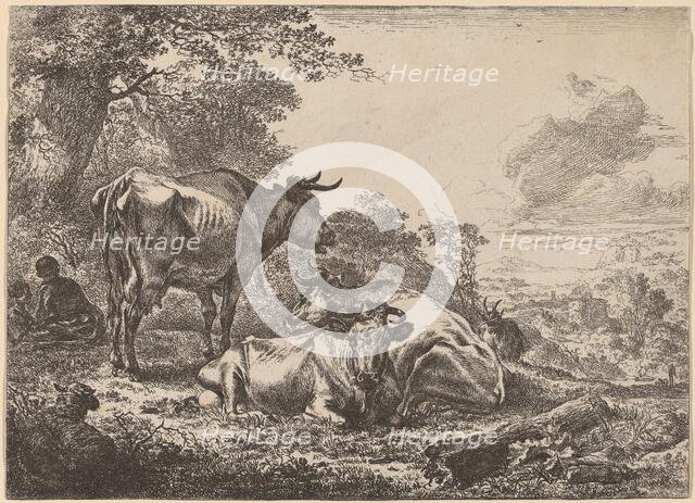 Resting Cows. Creator: Nicolaes Berchem.