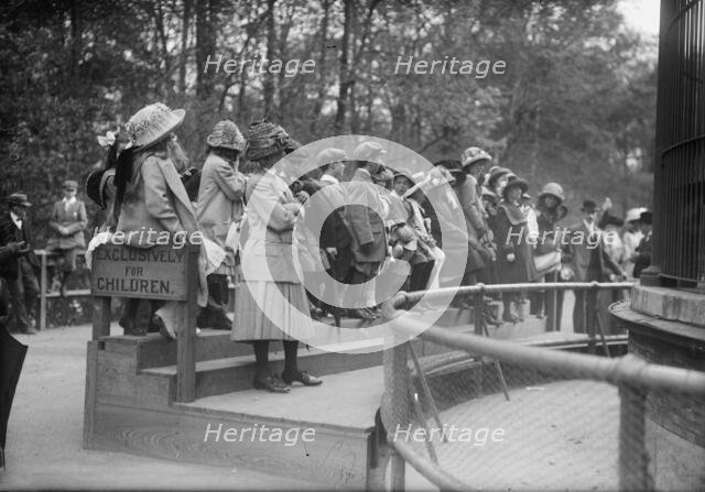 Children at N.Y. Zoo, between c1910 and c1915. Creator: Bain News Service.