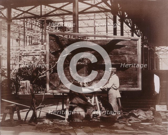 'Preparing Case for Marine Objects', Crystal Palace, Sydenham, 1852-1854. Creator: Philip Henry Delamotte.