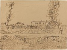 Ploughman in the Fields near Arles, 1888. Creator: Vincent van Gogh.