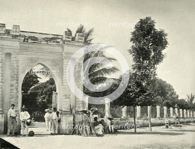 'A Public Garden in Tropical Mexico: View at Colima', 1919. Creator: Unknown.