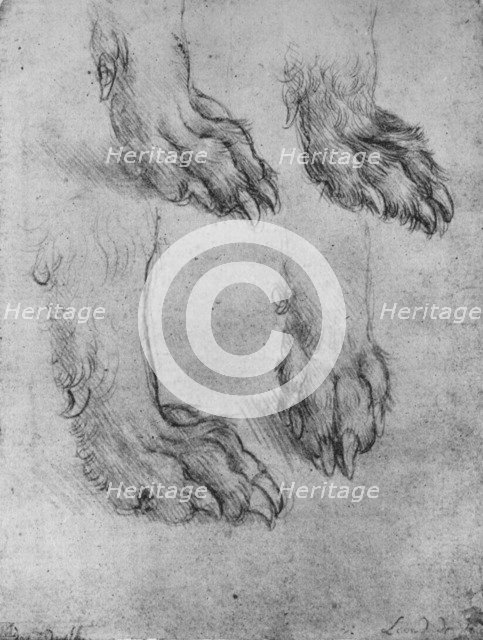 'Four Studies of the Paws of a Dog or Wolf', c1480 (1945). Artist: Leonardo da Vinci.