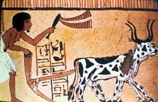 Sennutem ploughing with cattle, Ancient Egyptian tomb painting, New Kingdom (1550-1069 BC). Artist: Unknown