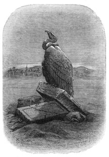 "Purification" (the Griffon Vulture): from "The Bird", by J. Michelet, 1868. Creators: Adolphe François Pannemaker, Albert Doms.