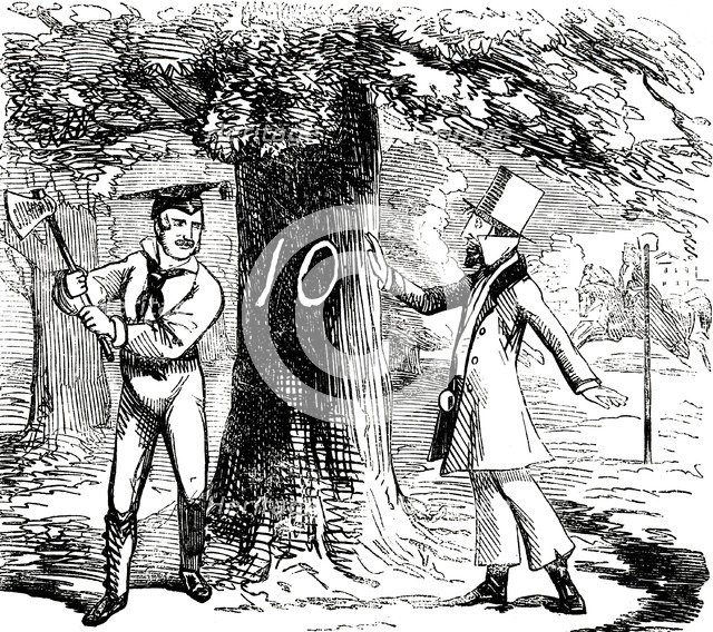 Albert (1819-1861), Prince Consort of Queen Victoria, 1850. Artist: Unknown