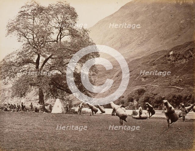 Mussucks for Crossing the Beas River Below Bajoura, 1866. Creator: Samuel Bourne.