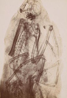 [X-Ray of the Mummy of a Raptor], 1896. Creator: Henri van Heurck.