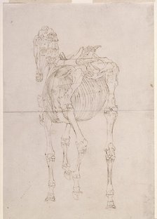 Measured working drawing for 'The Third Anatomical Table of the Skeleton of the Horse', 1756. Creator: George Stubbs.