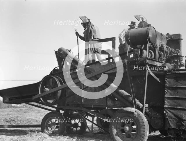 Bean thresher, mechanized agriculture between Turlock and Merced, California, 1936. Creator: Dorothea Lange.