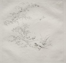 Parisian Service (Haviland service): Fog (no. 1), 1875. Creator: Félix Bracquemond (French, 1833-1914).