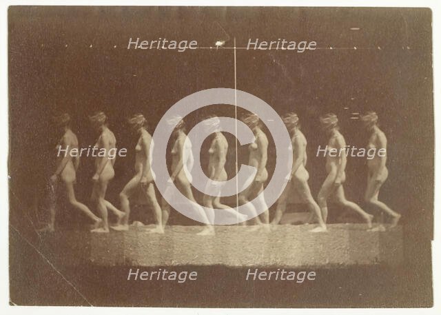 Marey Wheel Photographs of Unidentified Model, 1884. Creator: Thomas Eakins.