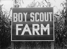Boy Scouts, Boy Scout Farm, 1917. Creator: Harris & Ewing.