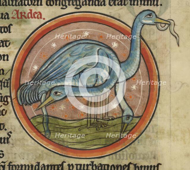 A heron on the water. A wading water bird with long neck and beak, c1230s. Creator: Unknown.