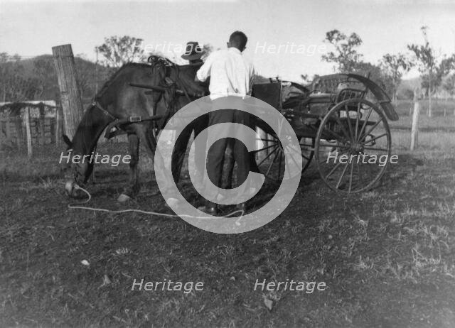 Horse & Cart, 1926. Creator: Jack Bain.