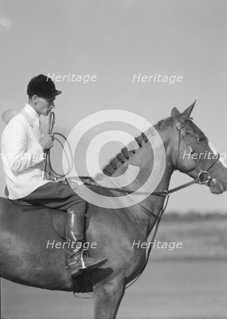 Unidentified person on a horse, between 1911 and 1942. Creator: Arnold Genthe.