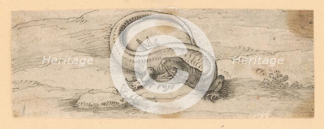 Lizard, 1601/1700. Creator: Unknown.