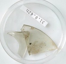 Glass Fragments, Coptic, 4th century. Creator: Unknown.