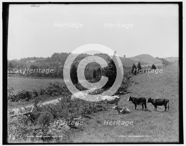 Swartswood Lake, N.J., between 1890 and 1901. Creator: Unknown.