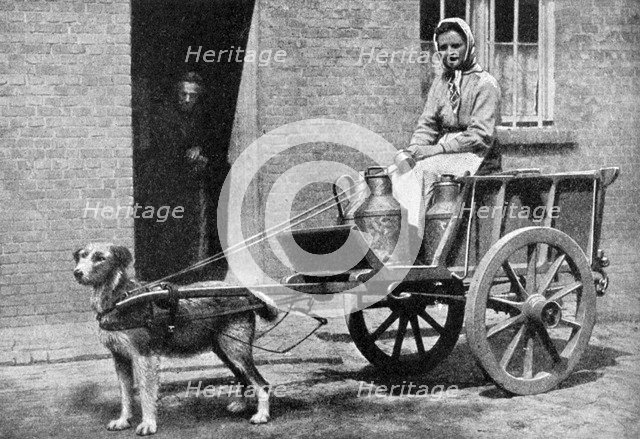 A Belgian milkwoman on her morning round, Belgium, 1922.Artist: Donald McLeish