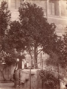 St. Dominic's Orange Tree on the Aventine, 1880s. Creator: Unknown.