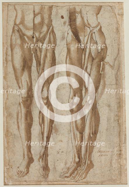 Two Studies of a Flayed Man (recto) Study of a Flayed Torso (verso), 1554. Creator: Bartolommeo da Arezzo (Italian, 1578).