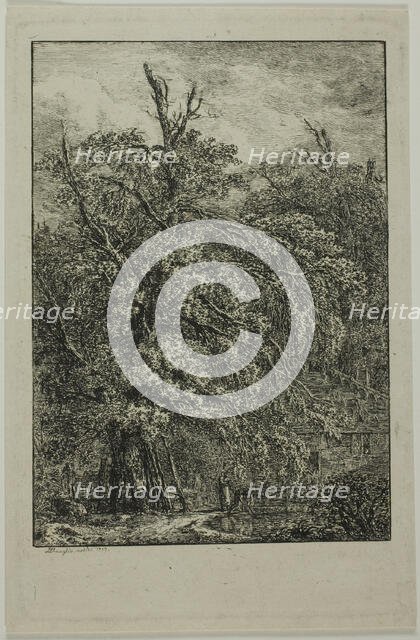 Great Tree, 1809. Creator: Domenico Quaglio II.