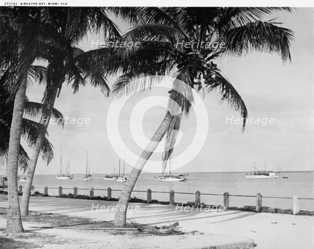 Biscayne Bay, Miami, Fla., c.between 1910 and 1920. Creator: William H. Jackson.
