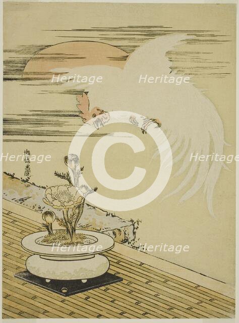 Cock Flying Over Pot of Adonis, c. 1770s. Creator: Isoda Koryusai.
