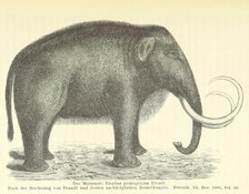 The Mammoth, 1885.  Creator: Unknown.