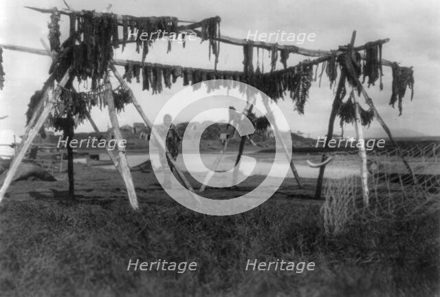 Eskimos in Alaska: Drying whale meat, Hooper Bay, c1929. Creator: Edward Sheriff Curtis.