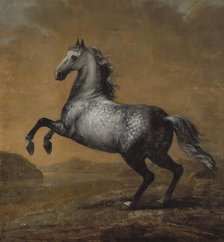 Karl XI's favourite horse The Little Englishman, between c.1680 and c.1689. Creator: David Klocker Ehrenstrahl.