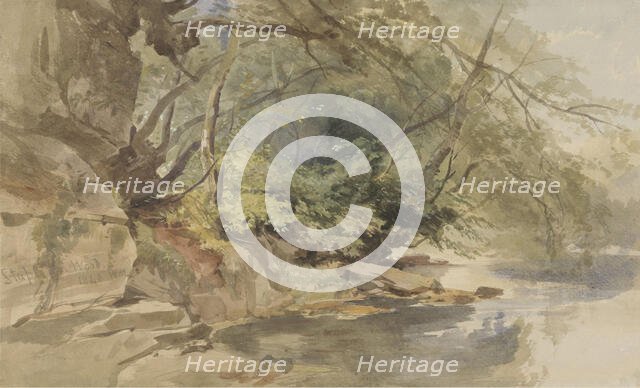 View in Stapleton Wood, near Bristol, 1843. Creator: William James Muller.