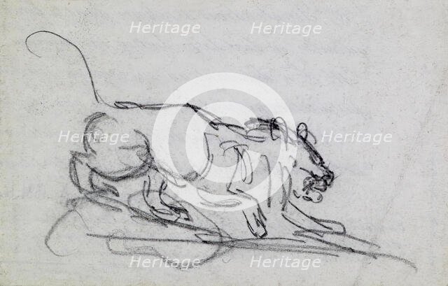 Stalking Lion, c1830. Creator: Antoine-Louis Barye.