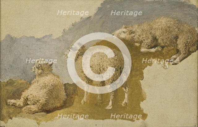 Three Sheep. Study, mid-19th century. Creator: Kilian Christoffer Zoll.