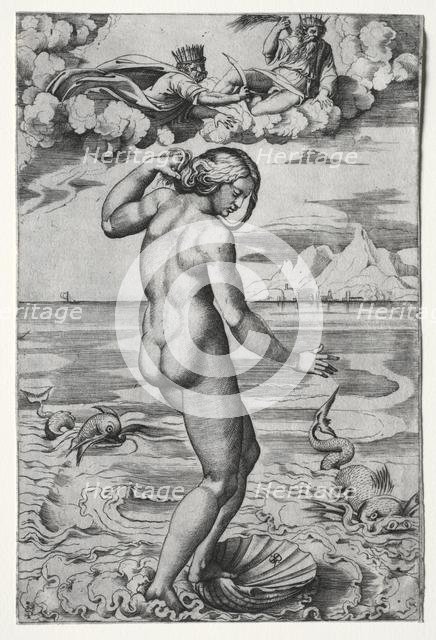 The Birth of Venus , c. 1516. Creator: Marco Dente (Italian, c. 1486-1527).