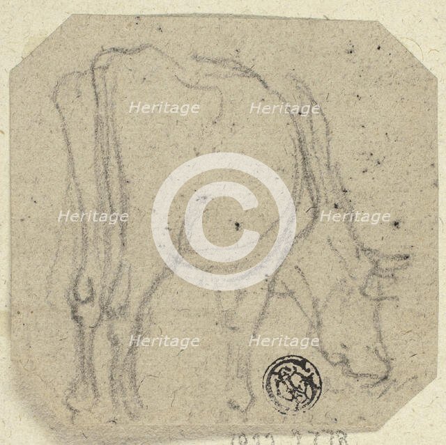 Cow Grazing, n.d. Creator: Unknown.